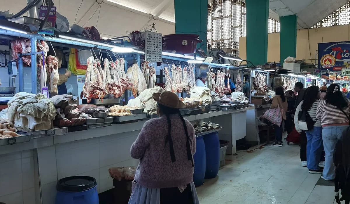 Mercado Modelo de Huancayo 2